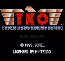 Image n° 7 - screenshots  : TKO Super Championship Boxing